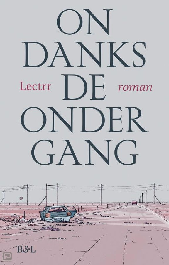 Ondanks de Ondergang (roman)