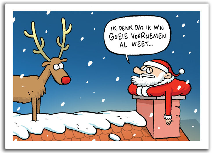Pakketje Kerstkaartjes "Voornemen"