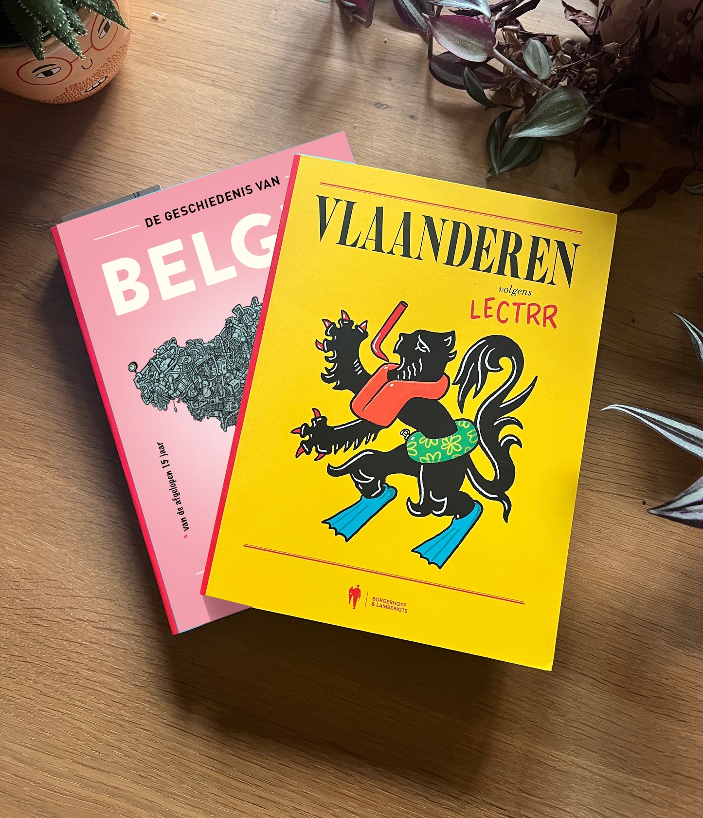 Bundel cartoonboeken